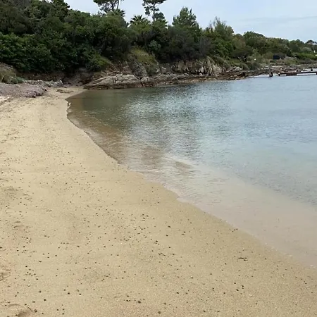 Bouganville Porto Rotondo