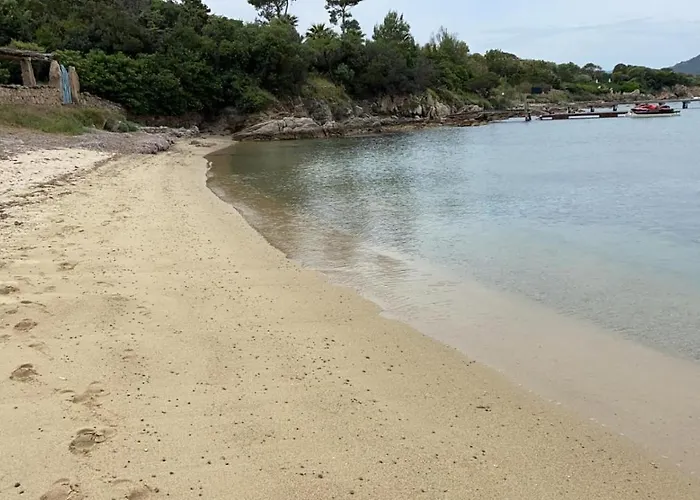 Bouganville Porto Rotondo